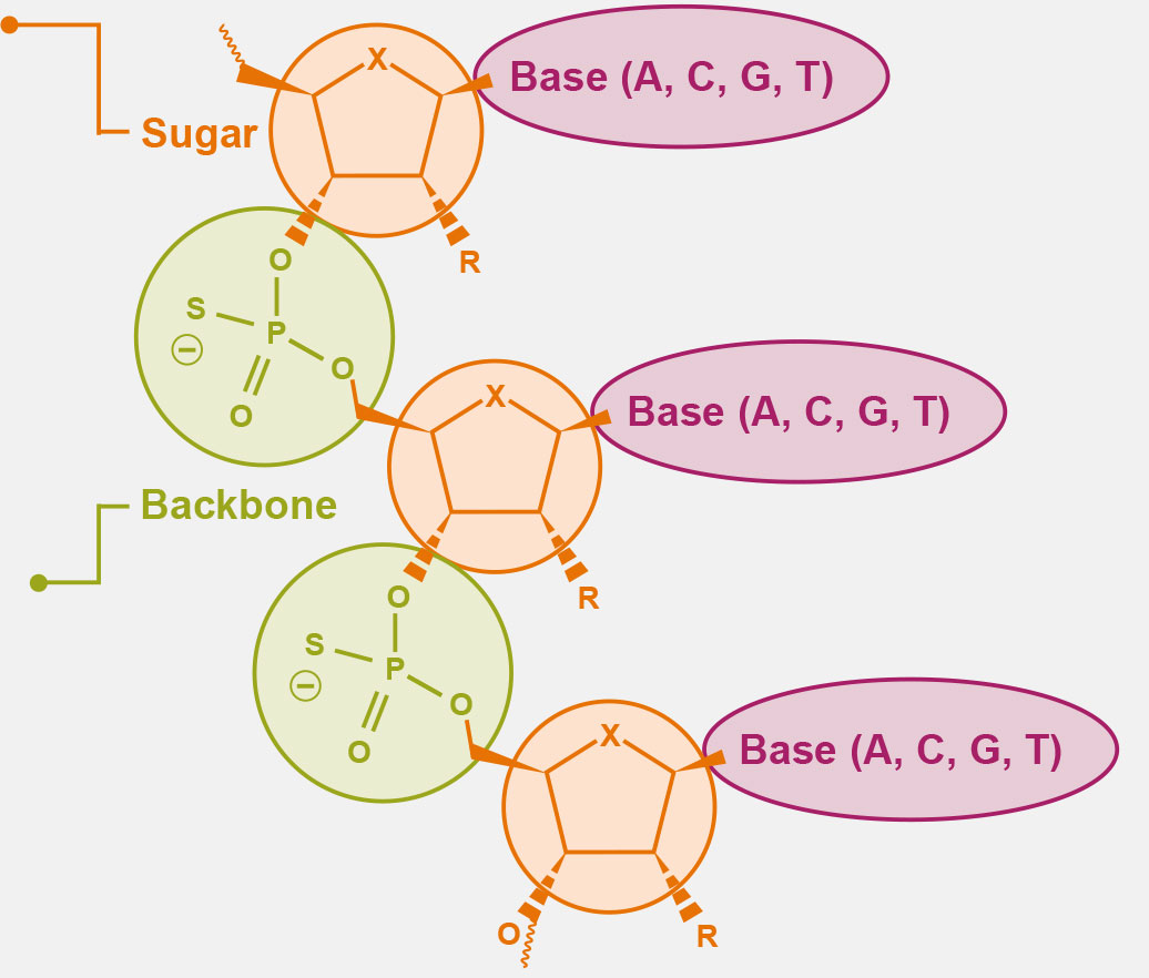 Molecular diagram