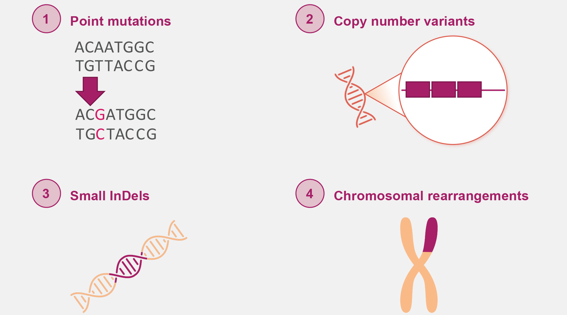genetic variants diagram